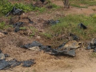 Limbah B3 Berserakan di Kebun Bandar Betsy, Praktisi Hukum Desak Dirholding PTPN IV Turun Tangan