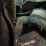 Warga Jalan Besar Bahapal Dihebohkan Penemuan Jasad Pria Sebatang Kara